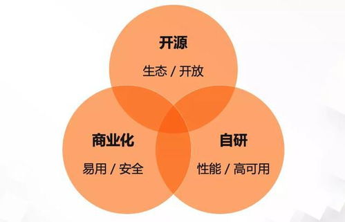 阿里巴巴服务网格技术三位一体战略背后的思考与实践
