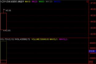 卫宁软件上市首日大涨55.20%，彰显软件开发与技术服务业高景气