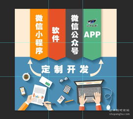 沭阳论坛携手专业软件开发服务商，开启数字化商务服务新篇章